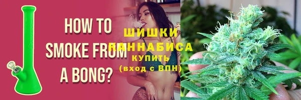 мдпв Горнозаводск