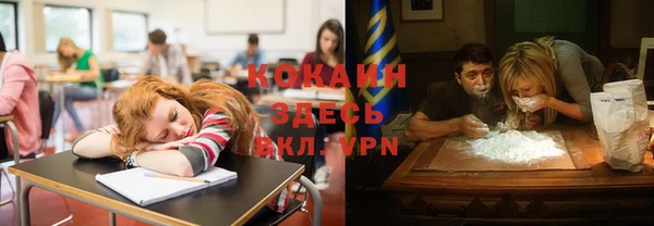 марки lsd Горняк