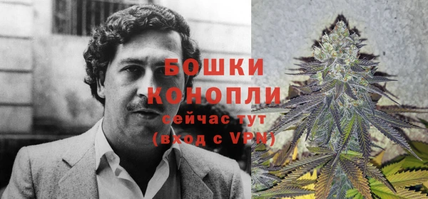мдпв Горнозаводск