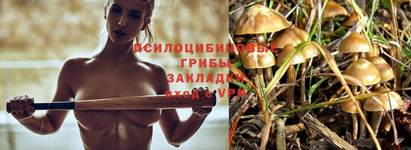 мдпв Горнозаводск