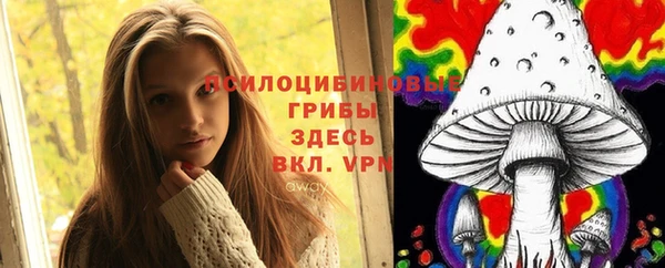 марки lsd Горняк
